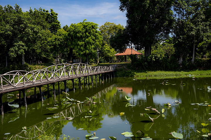 Hồ Tịnh Tâm